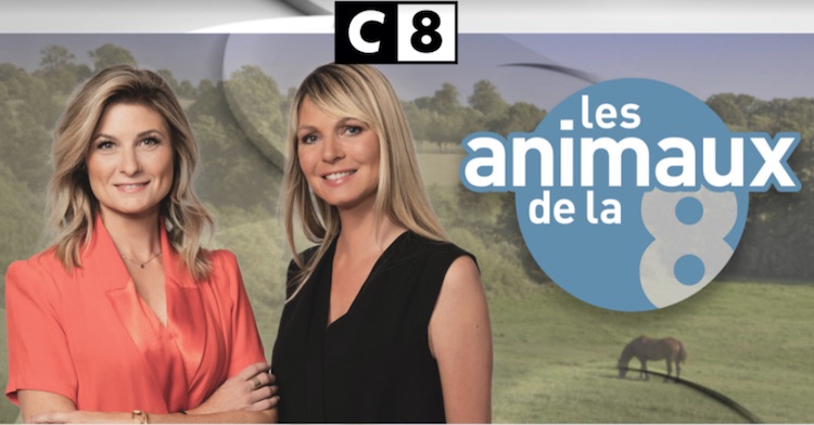 « Les animaux de la 8 » du 17 septembre 2023