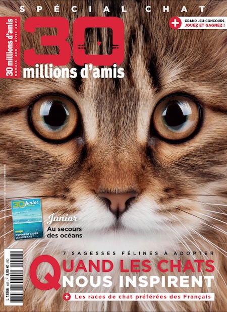 30 millions d'amis : un numéro spécial "chats"