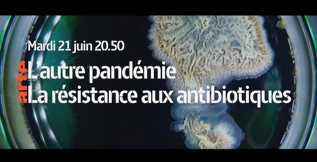 « L'autre pandémie : la résistance aux antibiotiques »