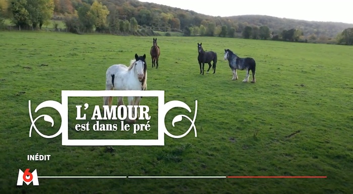 « L'amour est dans le pré » du 31 octobre 2022 (vidéo) 