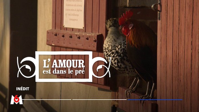 « L'amour est dans le pré » vidéo du 24 octobre 2022