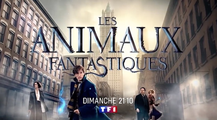 Audiences TV prime 23 octobre 2022