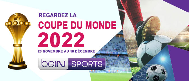 Coupe du Monde 2022 :  Qatar / Sénégal