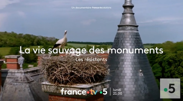 « La vie sauvage des monuments : Les résistants »