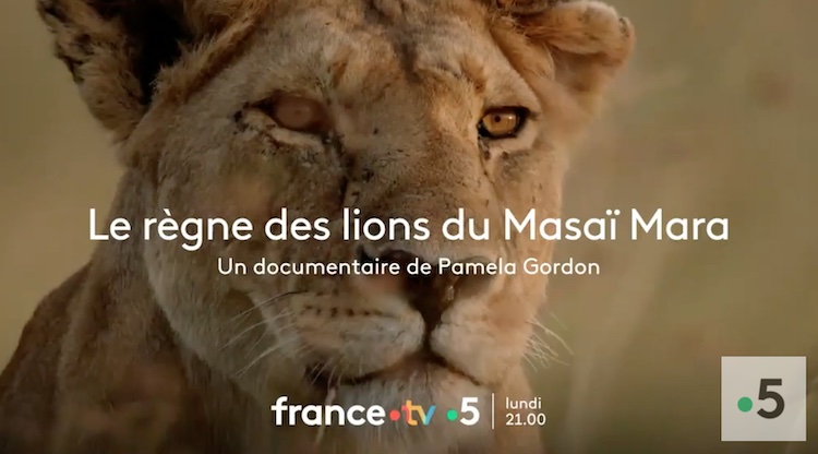 Le règne des lions du Masaï Mara