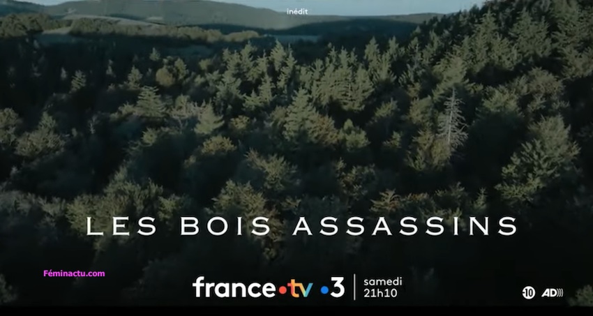 « Les bois assassins »