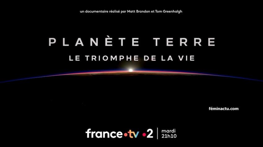 Planète Terre, le triomphe de la vie