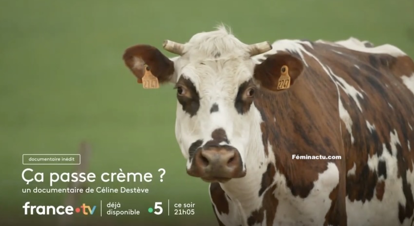 « Ça passe crème »