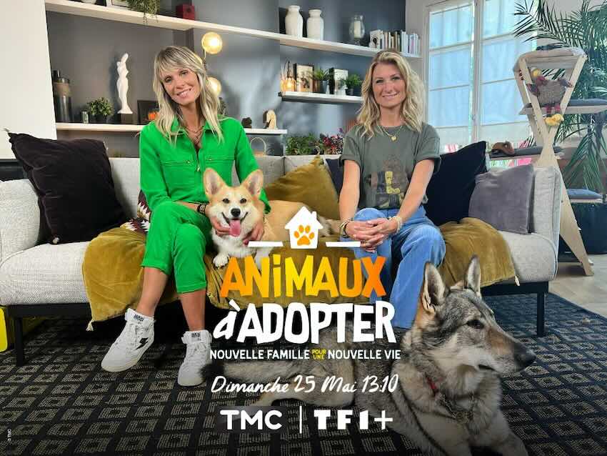 « Animaux à adopter, nouvelle famille pour une nouvelle vie »
