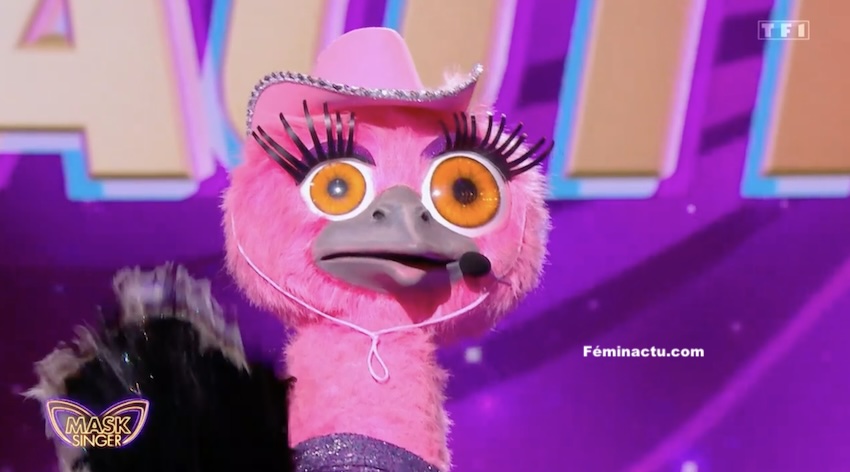  Mask Singer » 2025 : Jeanfi Janssens se cache t-il derrière l'Autruche ?