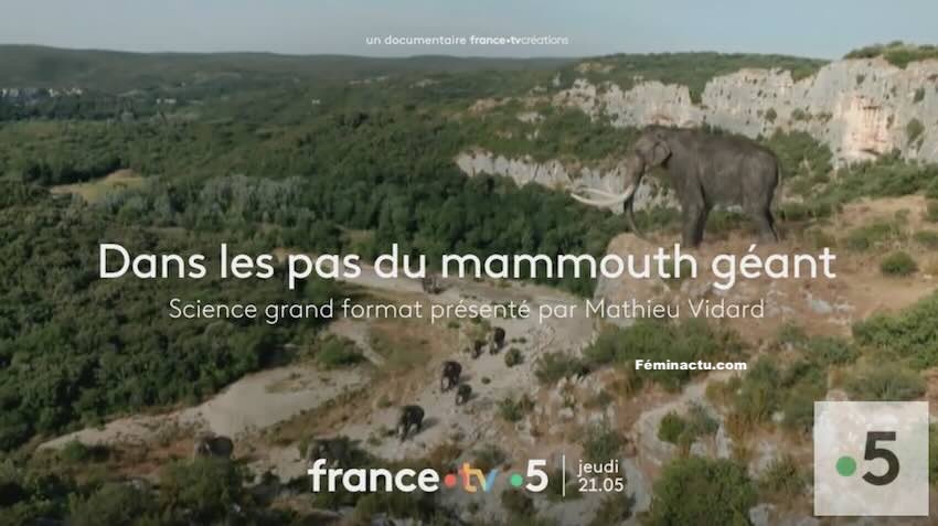 "Dans les pas du mammouth géant"