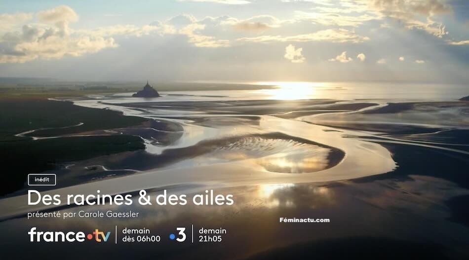 « Des racines et des ailes » du 14 mai 2025