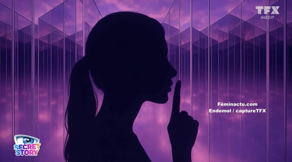 Finale de « Secret Story » sondages