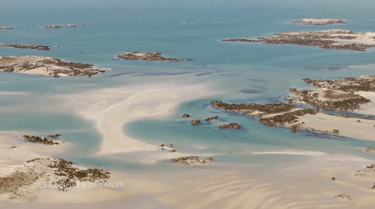 « Des racines et des ailes » du 8 octobre 2025 "Mon île en Normandie"