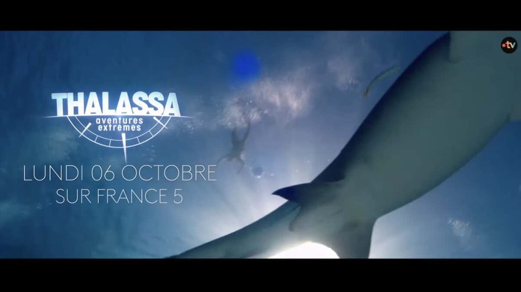« Thalassa : aventures extrêmes » du 6 octobre 2025 : quel sommaire aujourd'hui ?