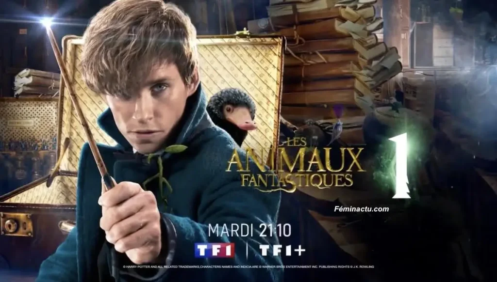 « Les Animaux Fantastiques » en mode rediffusion ce soir, mardi 10 février 2026 !