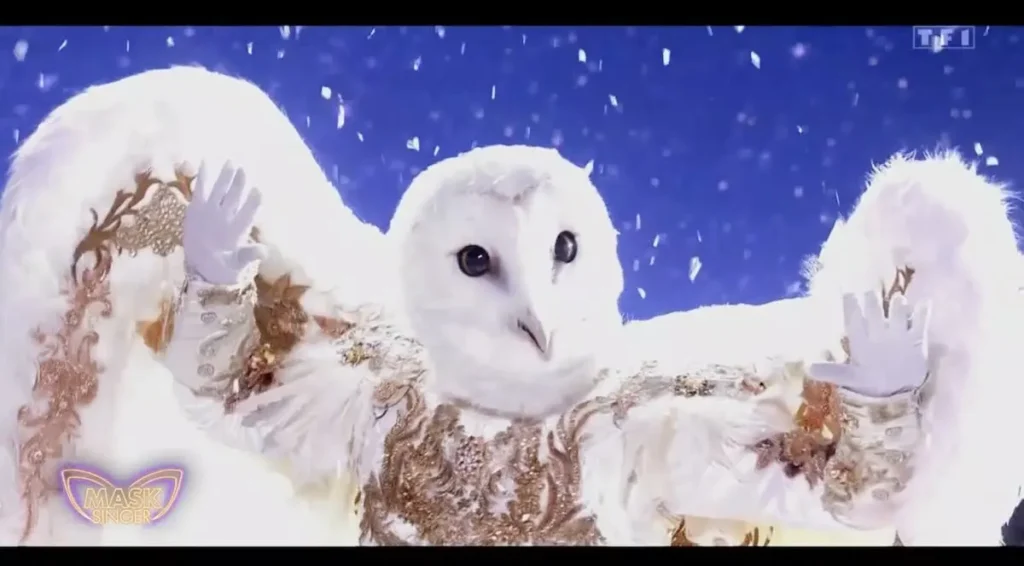« Mask Singer » : qui se cache derrière la chouette ?