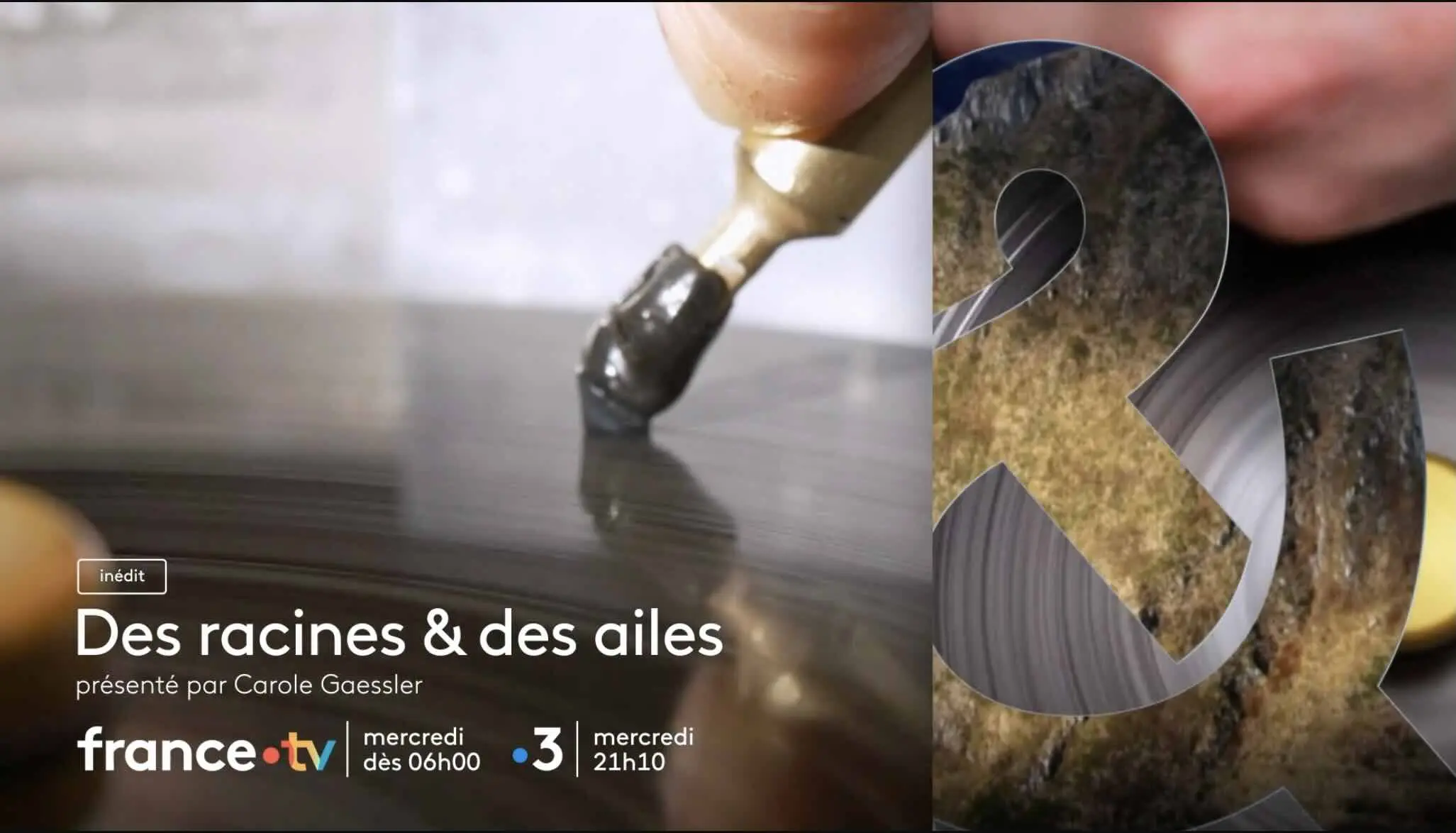 « Des racines et des ailes » du 22 avril 2026 « Des racines et des ailes » du 22 avril 2026