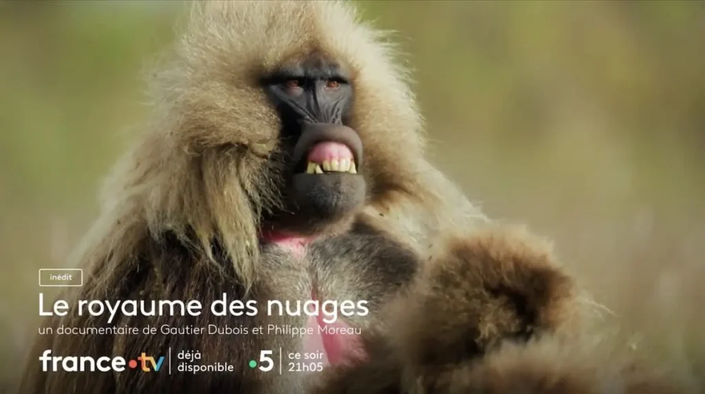 Le Royaume des nuages