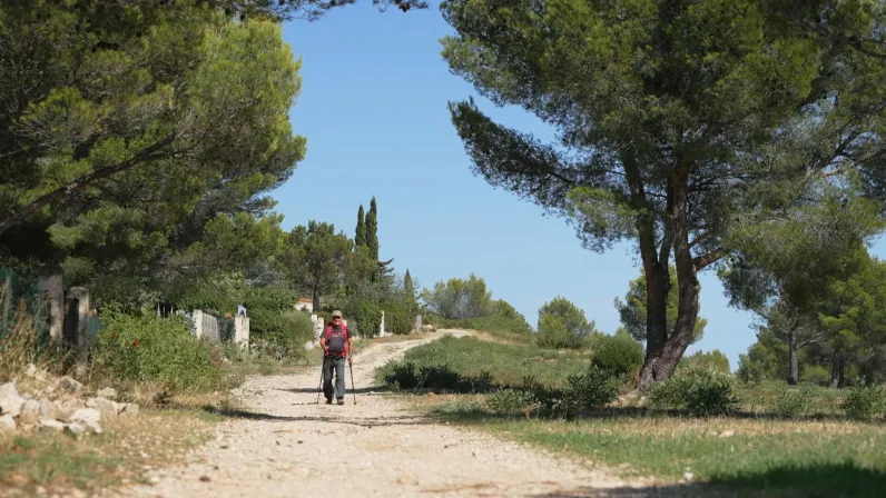 « Enquête de santé » du 30 juin 2026