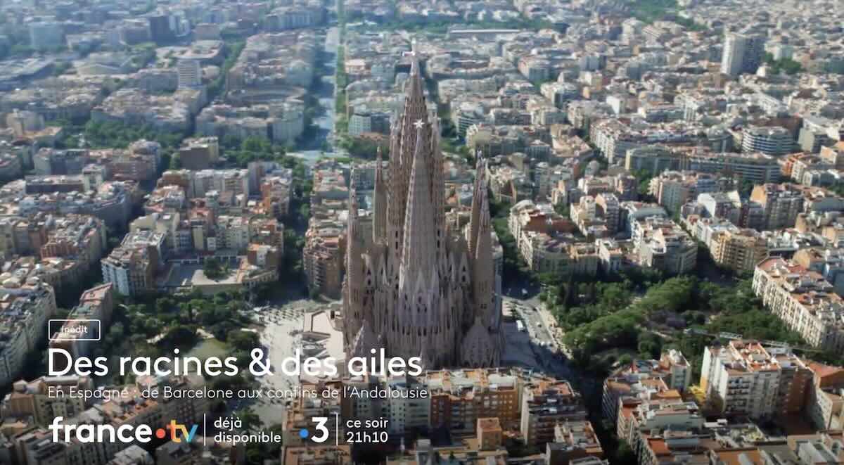 « Des racines et des ailes » du 10 juin 2026