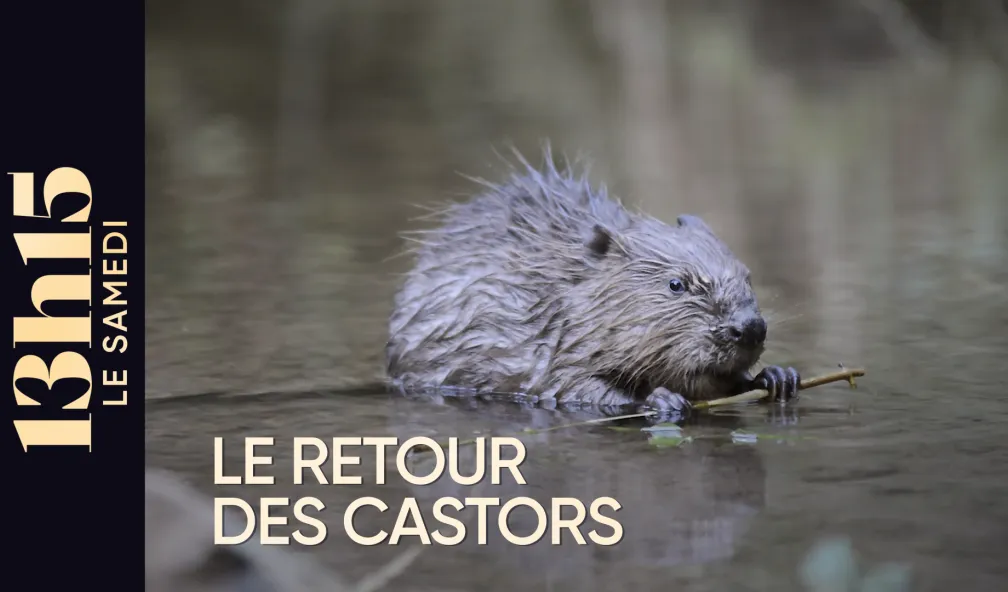 « 13h15 le samedi » du 3 octobre « 13h15 le samedi » du 3 octobre
