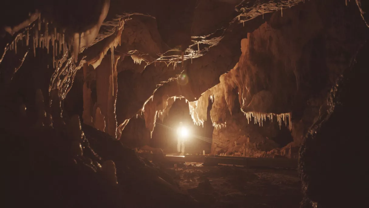 Chauvet : voyage aux origines