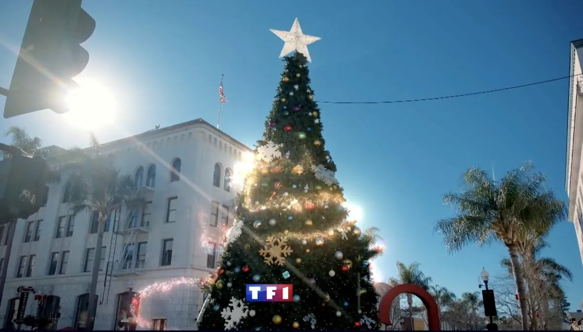 « Princesse incognito pour Noël » « Princesse incognito pour Noël »